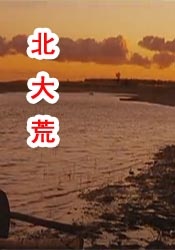 国产一区二区三区在线观看免费